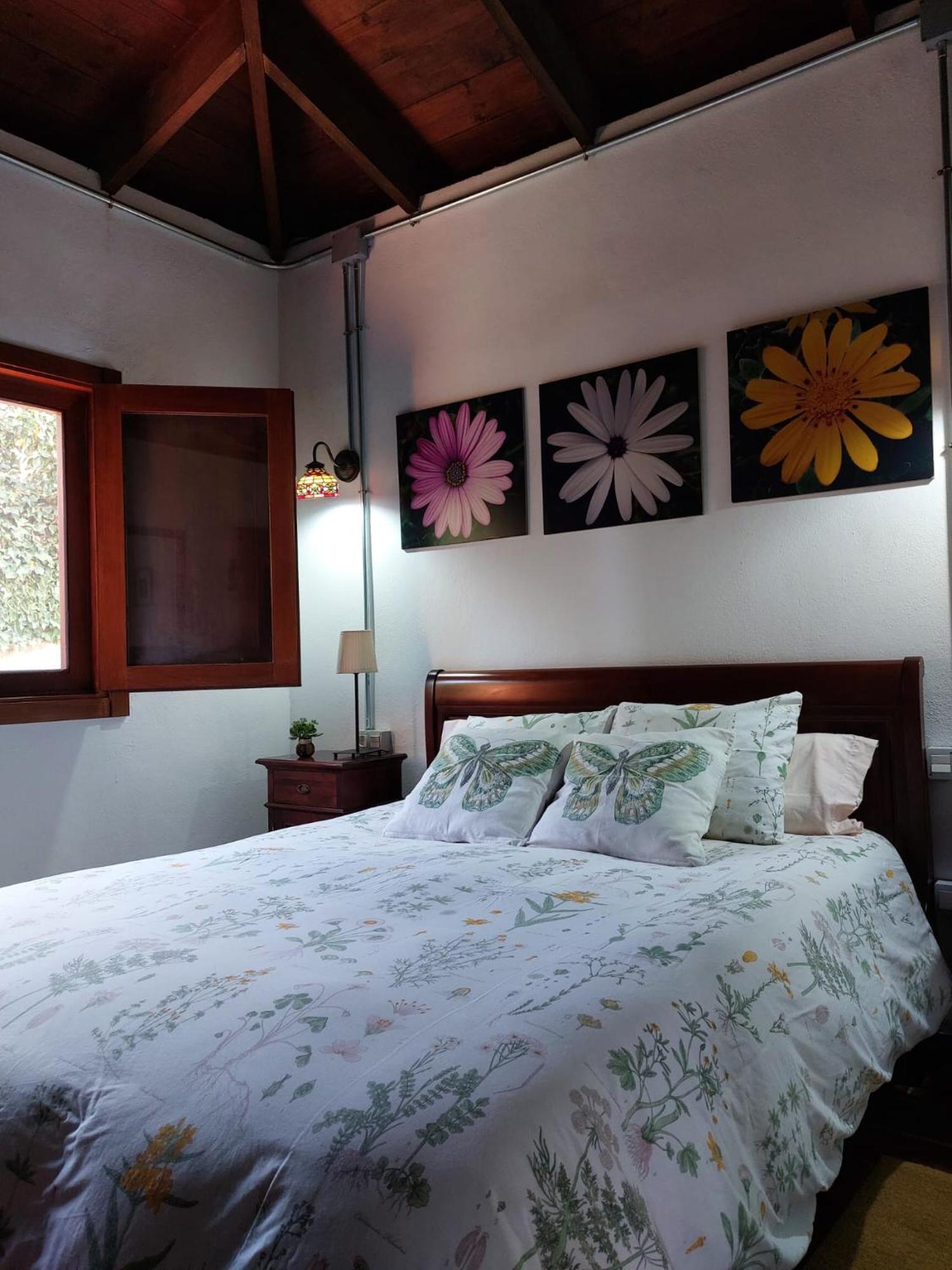 Casa Rural Dona Herminda La Matanza De Acentejo 외부 사진