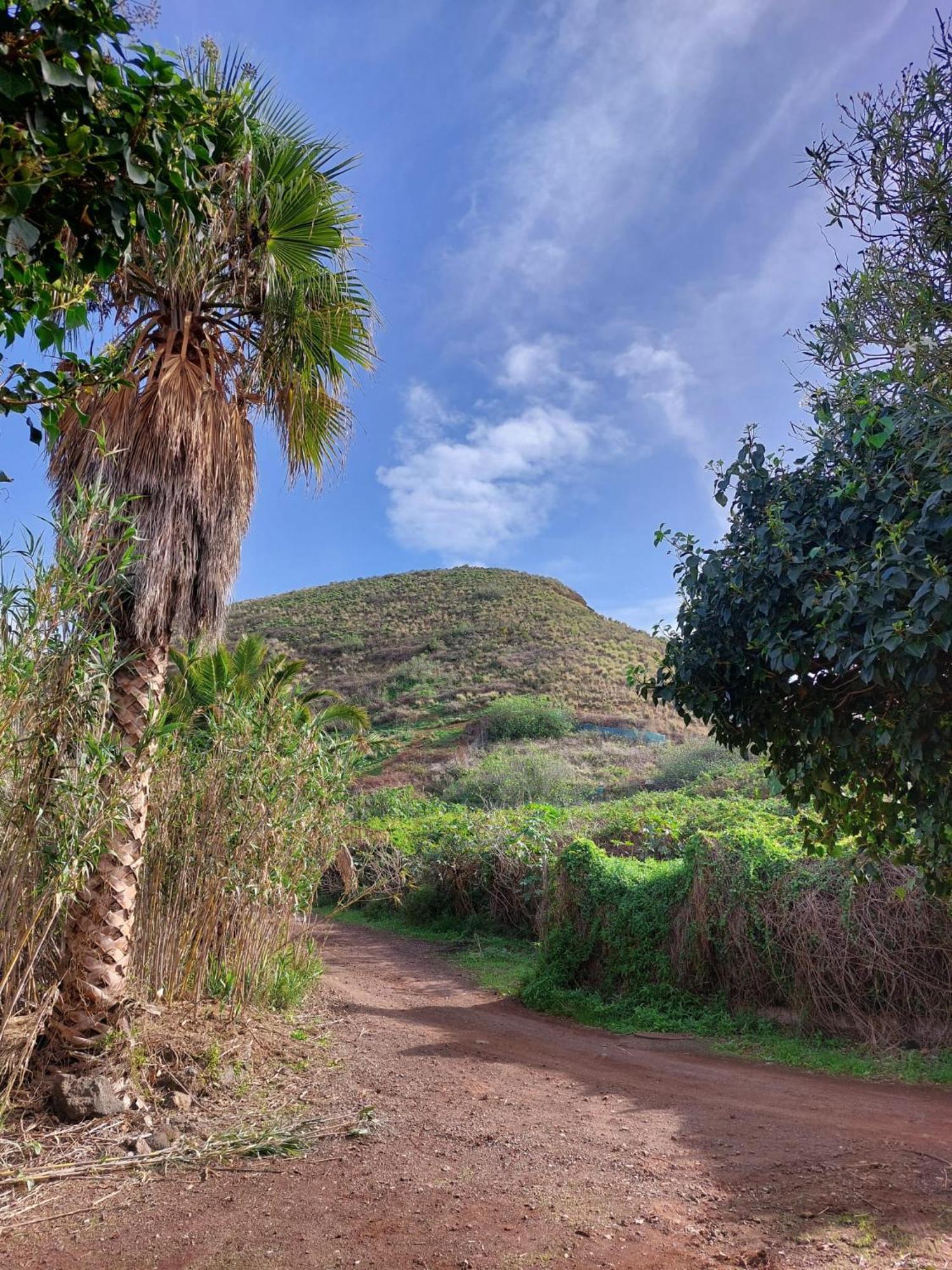 Casa Rural Dona Herminda La Matanza De Acentejo 외부 사진