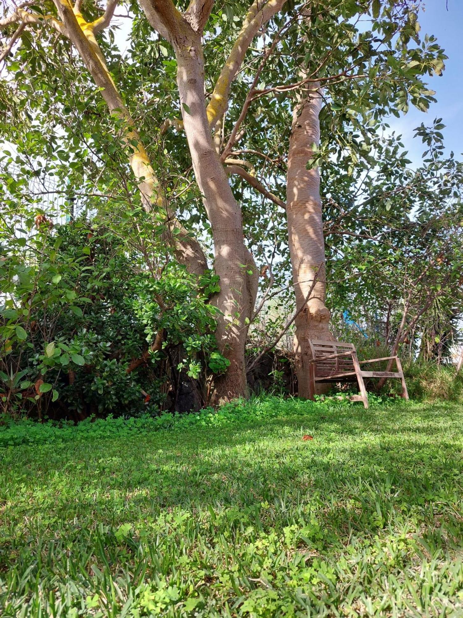 Casa Rural Dona Herminda La Matanza De Acentejo 외부 사진